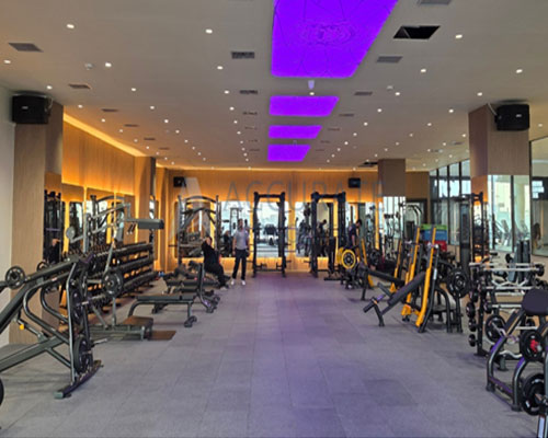 Accurate Info Solutions Ludhiana