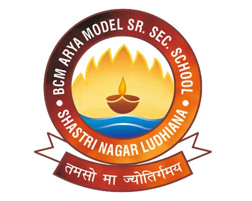 Accurate Info Solutions Ludhiana