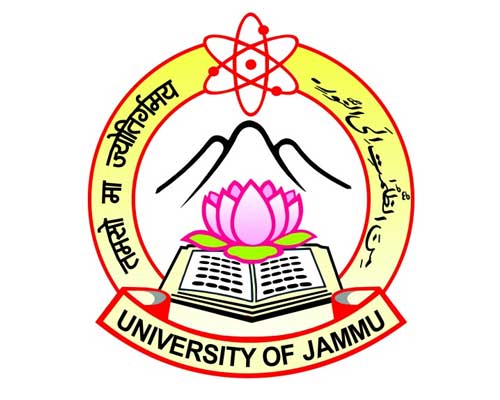 Accurate Info Solutions Ludhiana