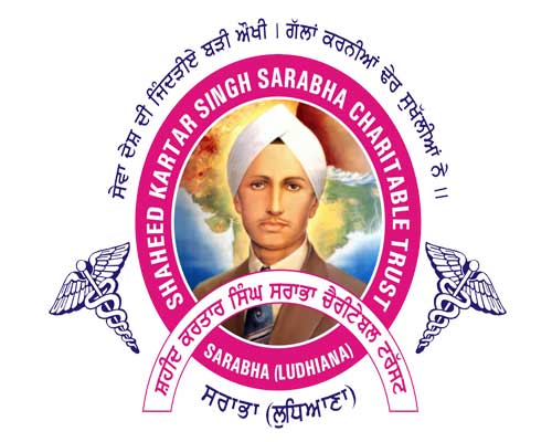 Accurate Info Solutions Ludhiana